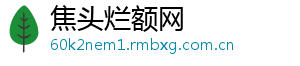 焦头烂额网